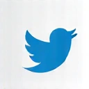 Twitter icon